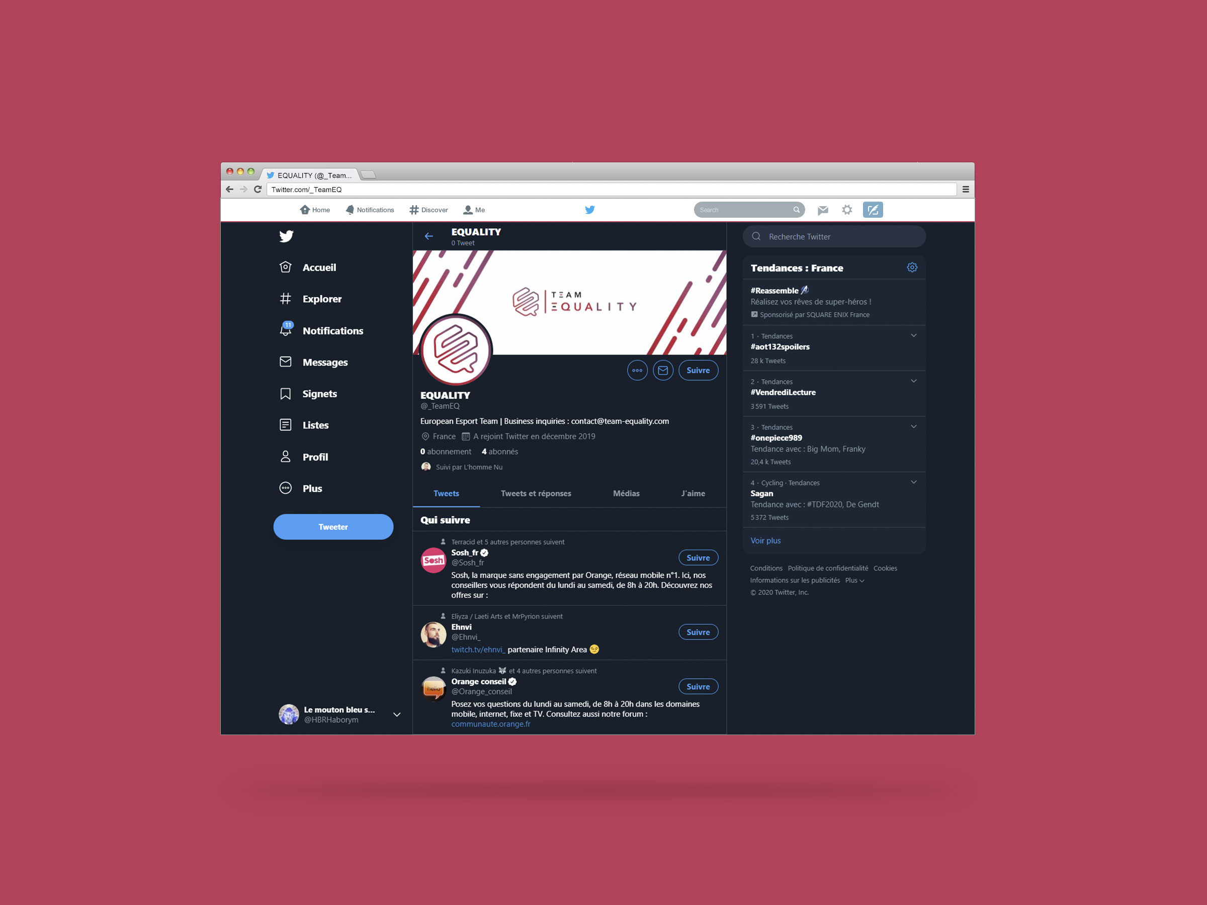 Design du site Web Equality - Version Desktop